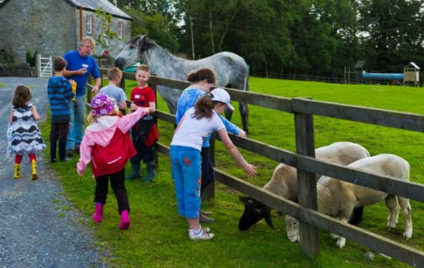 kids petting animals at a pet farm